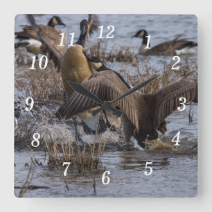 Back Off Wall Clock