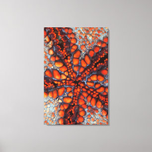Back Side Of Sea Star Cambodia Canvas Print