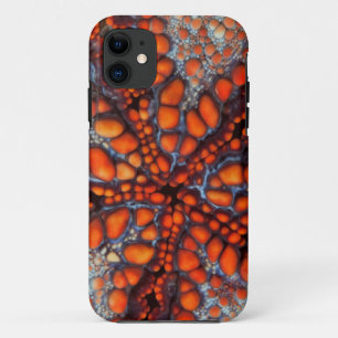 Back Side Of Sea Star Cambodia iPhone 11 Case