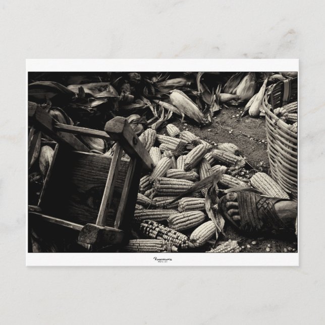 BACK TO BASIC postcard (Front)