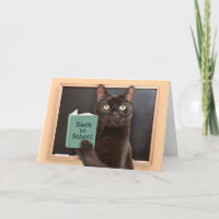 Back to School Cat Reading Book Humour 