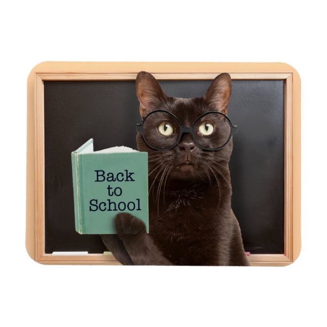 Back to School Cat Reading Book Humour  Magnet (Horizontal)