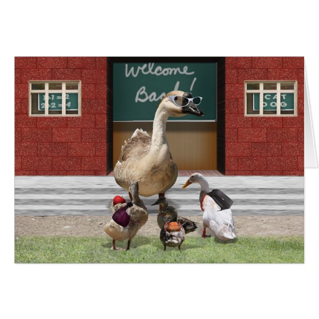 Back To School, Little Ducks! (Front Horizontal)