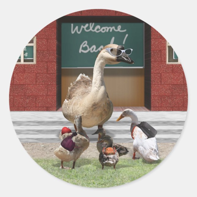 Back to School, Little Ducks! Classic Round Sticker (Front)