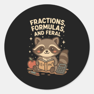 Back To School Math Teacher Racoon Fractions Form Classic Round Sticker