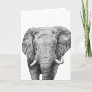 Back Up Plan IV Card