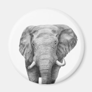 Back Up Plan IV Magnet