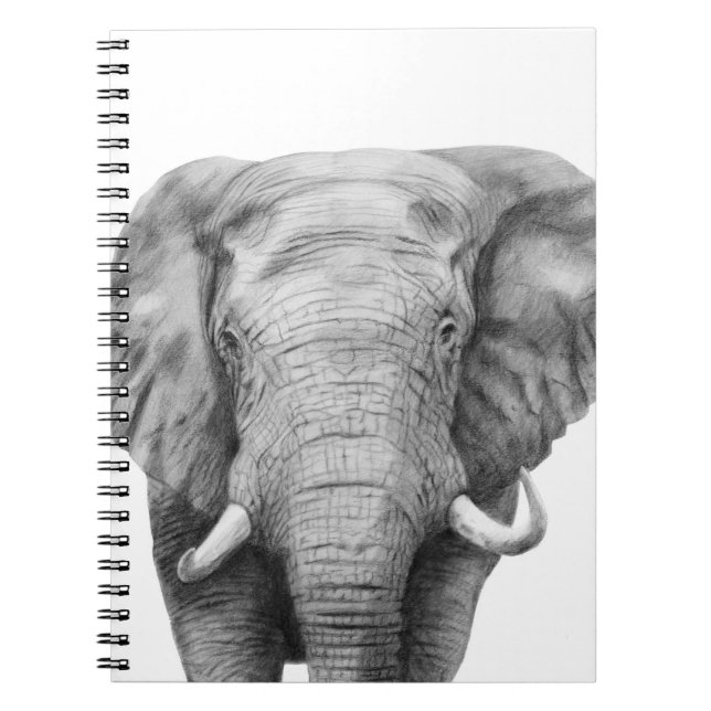 Back Up Plan IV Notebook (Front)