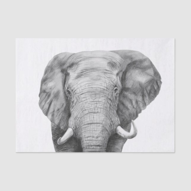 Back Up Plan IV Tissue Paper (Front)