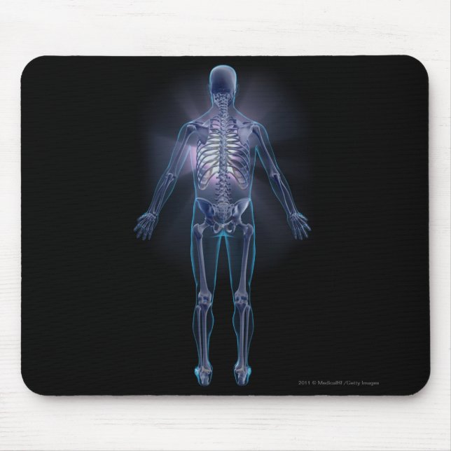 Back view of a human skeleton mouse mat (Front)