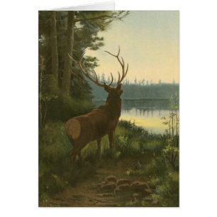 Back view of Elk Looking over a Lake