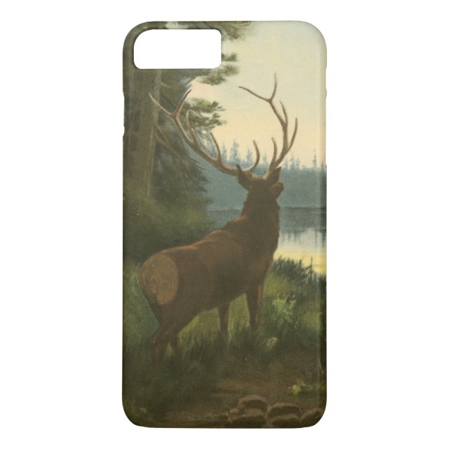Back view of Elk Looking over a Lake Case-Mate iPhone Case (Back)