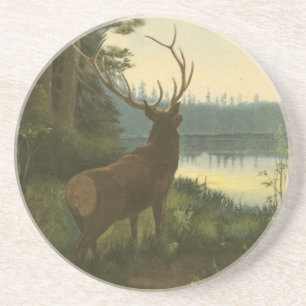 Back view of Elk Looking over a Lake Coaster