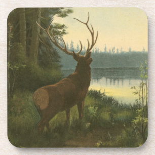 Back view of Elk Looking over a Lake Coaster