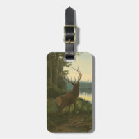 Back view of Elk Looking over a Lake