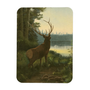 Back view of Elk Looking over a Lake Magnet