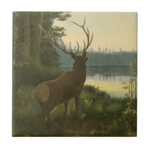 Back view of Elk Looking over a Lake Tile