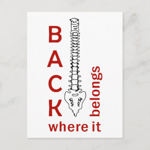 Back Where It belongs Postcard