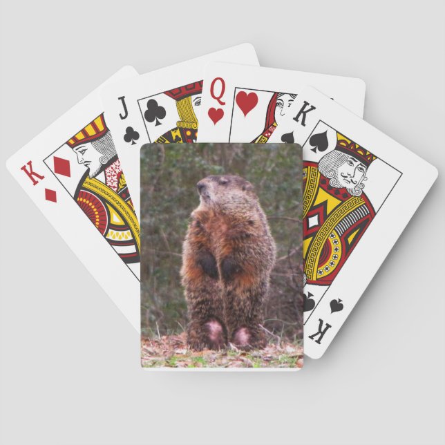 Back Yard Beaver Playing Cards (Back)