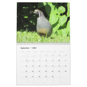 Back Yard Birds!  Bird Watcher  CALENDAR