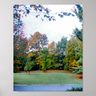 Back Yard Poster
