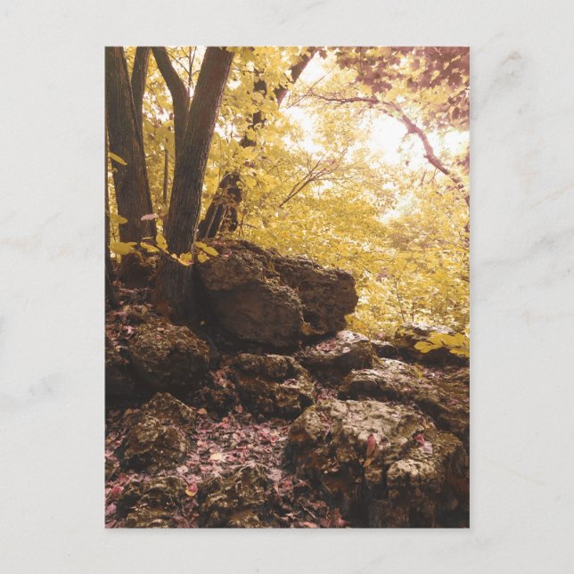 backbone state park iowa postcard (Front)