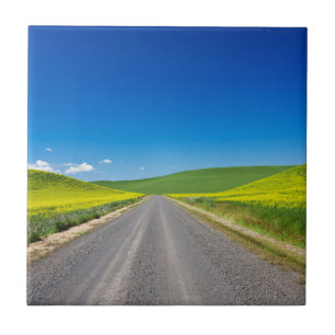 Backcountry road through Spring Canola Fields Tile
