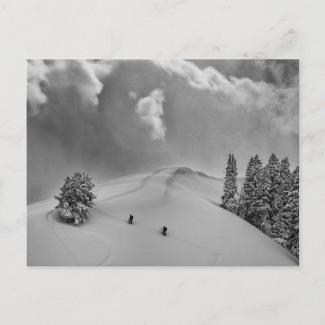 Backcountry Ski Climbers in fresh powder Postcard (Front)