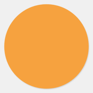 Background Colour - Orange Classic Round Sticker