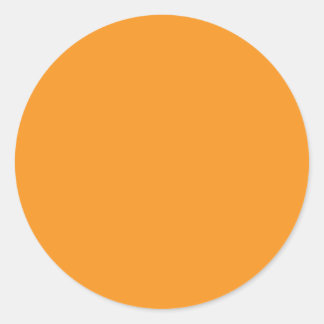 Background Colour - Orange Classic Round Sticker