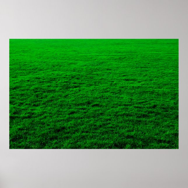 Background green grass lawn poster (Front)