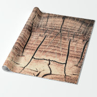 background of a wooden stumpabstract, age, aging, 