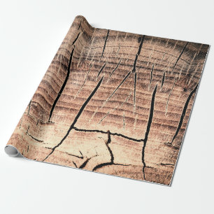 background of a wooden stumpabstract, age, aging, wrapping paper