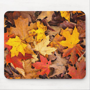 Background Of Colourful Autumn Leaves On Forest Mouse Mat