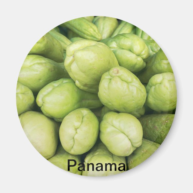 Background of organic choko Sechium edule Magnet (Front)