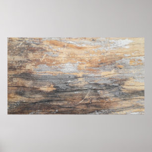 background texture old beautiful treeabstract, bac poster