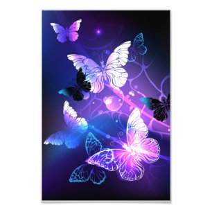 Background with Night Butterflies Photo Print