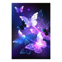 Background with Night Butterflies