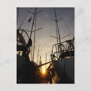 Backlight on 2 sailboats in the harbor. postcard