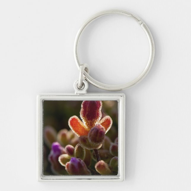 Backlit Colourful Succulent Flower Bud With Rim Key Ring (Front)