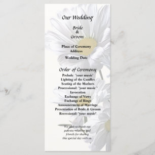 Backlit Daisies Programme