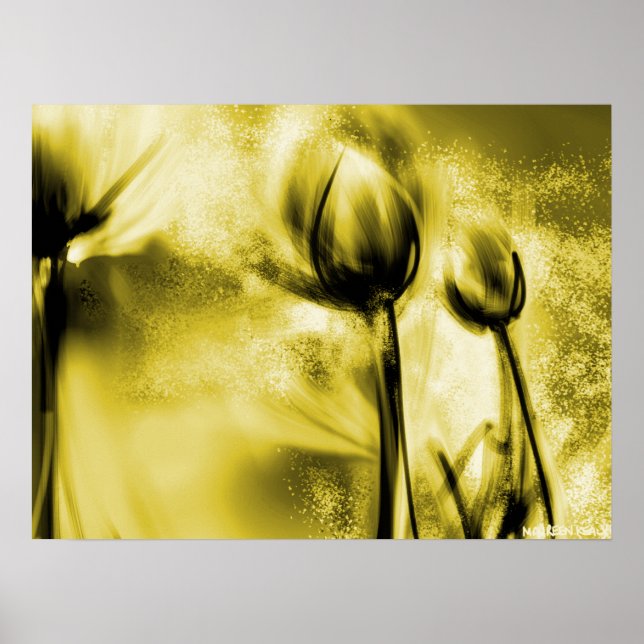 Backlit Dandelions in Antique Poster (Front)