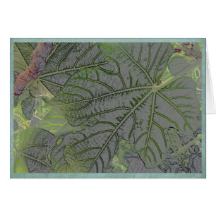 Backlit leaves in a summer garden
