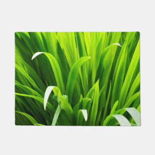 Backlit Leaves in Garden Doormat