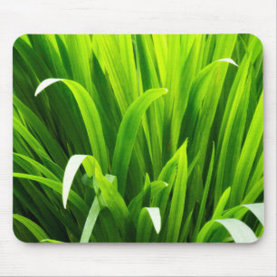 Backlit Leaves in Garden Mouse Mat