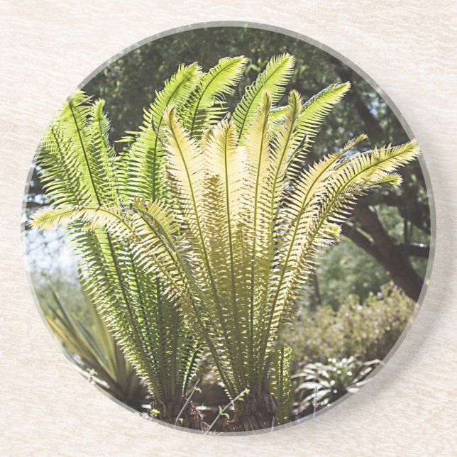 Backlit palms coaster (Front)
