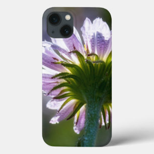 Backlit Purple Wildflower With Dewdrops iPhone 13 Case