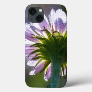 Backlit Purple Wildflower With Dewdrops iPhone 13 Case