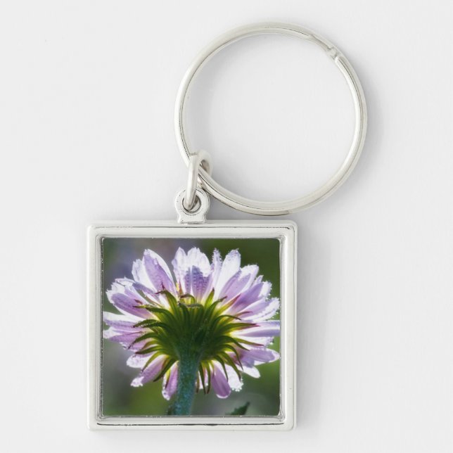 Backlit Purple Wildflower With Dewdrops Key Ring (Front)