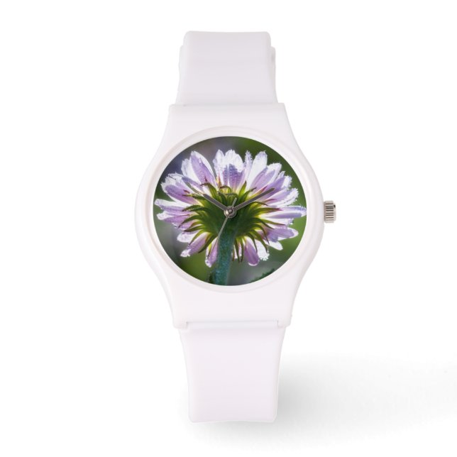 Backlit Purple Wildflower With Dewdrops Watch (Front)